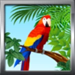 bird ringtones android application logo